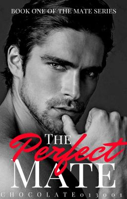 The Perfect Mate cover